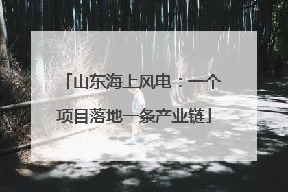 山东海上风电：一个项目落地一条产业链