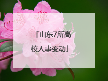 山东7所高校人事变动