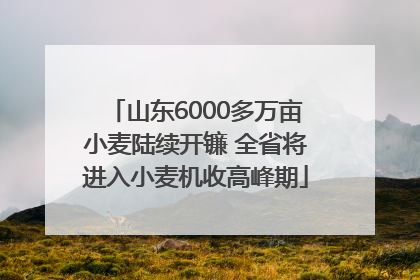 山东6000多万亩小麦陆续开镰 全省将进入小麦机收高峰期