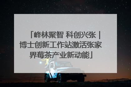 峰林聚智 科创兴张｜博士创新工作站激活张家界莓茶产业新动能