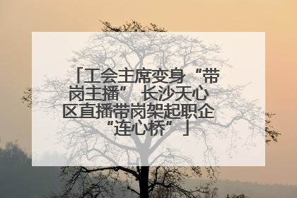 工会主席变身“带岗主播” 长沙天心区直播带岗架起职企“连心桥”