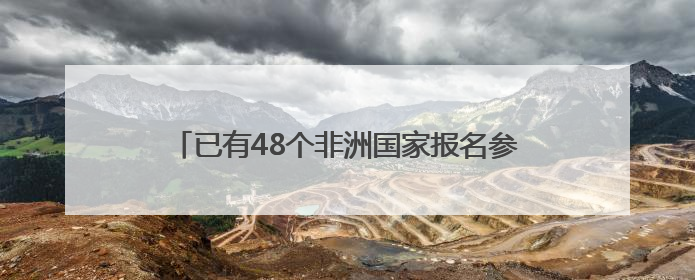 已有48个非洲国家报名参会第四届中非经贸博览会
