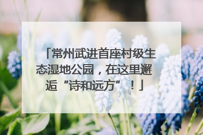常州武进首座村级生态湿地公园，在这里邂逅“诗和远方”！