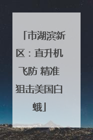 市湖滨新区：直升机飞防 精准狙击美国白蛾