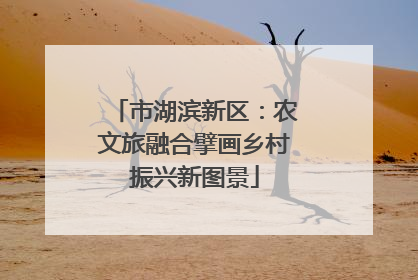 市湖滨新区：农文旅融合擘画乡村振兴新图景