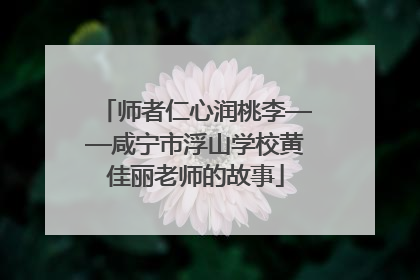 师者仁心润桃李——咸宁市浮山学校黄佳丽老师的故事