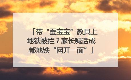 带“蚕宝宝”教具上地铁被拦？家长喊话成都地铁“网开一面”