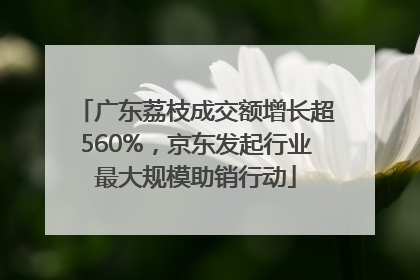 广东荔枝成交额增长超560%，京东发起行业最大规模助销行动