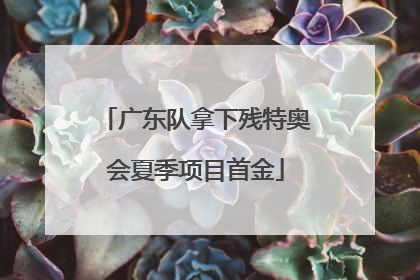 广东队拿下残特奥会夏季项目首金