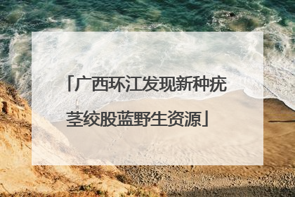 广西环江发现新种疣茎绞股蓝野生资源