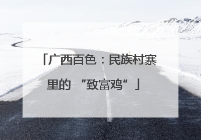 广西百色：民族村寨里的 “致富鸡”