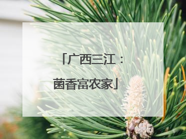 广西三江：菌香富农家
