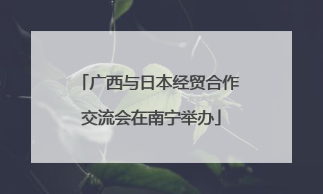 广西与日本经贸合作交流会在南宁举办