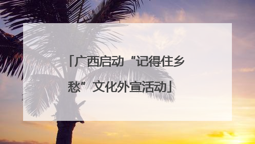 广西启动“记得住乡愁”文化外宣活动