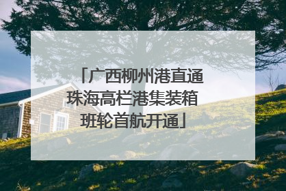 广西柳州港直通珠海高栏港集装箱班轮首航开通