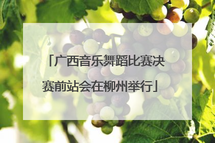 广西音乐舞蹈比赛决赛前站会在柳州举行