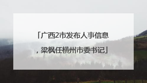广西2市发布人事信息，梁枫任横州市委书记