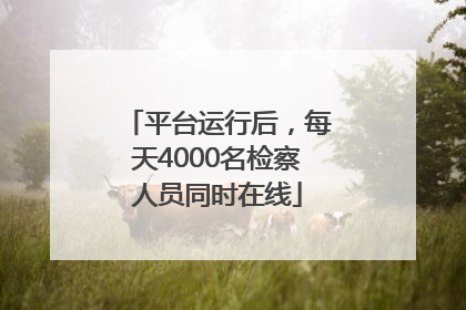 平台运行后，每天4000名检察人员同时在线