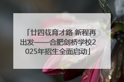廿四载育才路 新程再出发——合肥剑桥学校2025年招生全面启动