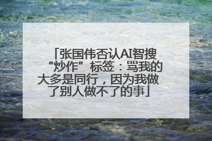 张国伟否认AI智搜“炒作”标签：骂我的大多是同行，因为我做了别人做不了的事