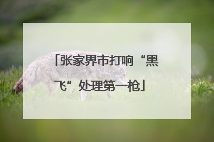 张家界市打响“黑飞”处理第一枪