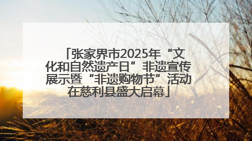 张家界市2025年“文化和自然遗产日”非遗宣传展示暨“非遗购物节”活动在慈利县盛大启幕