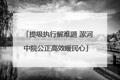 提级执行解难题 漯河中院公正高效暖民心