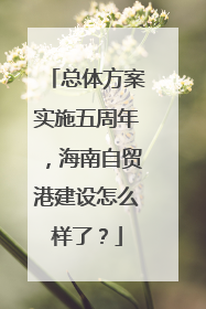 总体方案实施五周年，海南自贸港建设怎么样了？