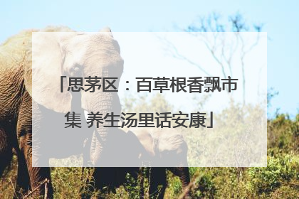 思茅区：百草根香飘市集 养生汤里话安康