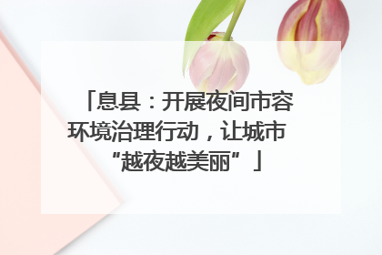 息县：开展夜间市容环境治理行动，让城市 “越夜越美丽”