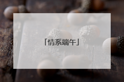 情系端午