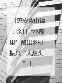 惠安紫山镇：余甘“小酸果”酿出乡村振兴“大甜头”