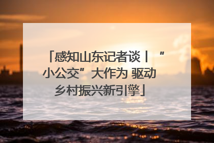 感知山东记者谈丨“小公交”大作为 驱动乡村振兴新引擎