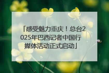 感受魅力重庆！总台2025年巴西记者中国行媒体活动正式启动