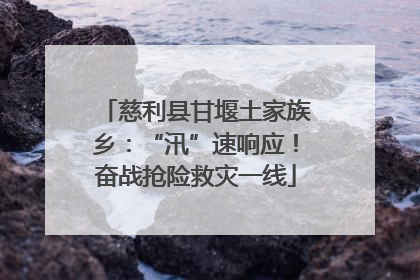慈利县甘堰土家族乡：“汛”速响应！奋战抢险救灾一线