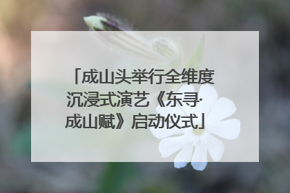 成山头举行全维度沉浸式演艺《东寻·成山赋》启动仪式
