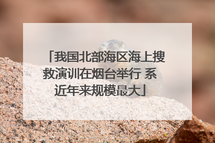 我国北部海区海上搜救演训在烟台举行 系近年来规模最大