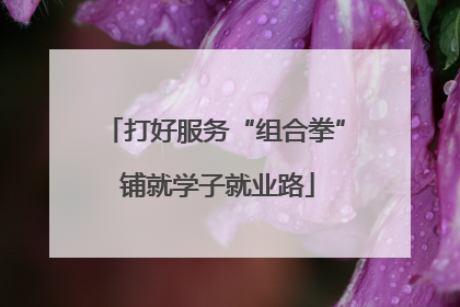 打好服务“组合拳” 铺就学子就业路