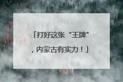 打好这张“王牌”，内蒙古有实力！