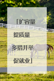 扩容量提质量 多措并举促就业