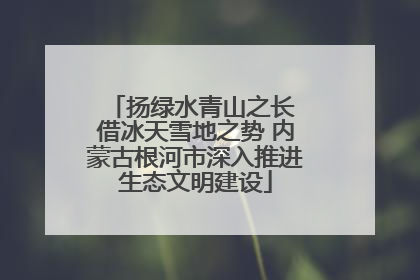 扬绿水青山之长 借冰天雪地之势 内蒙古根河市深入推进生态文明建设