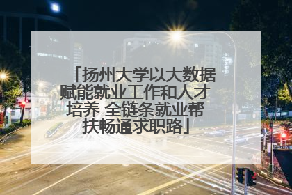 扬州大学以大数据赋能就业工作和人才培养 全链条就业帮扶畅通求职路