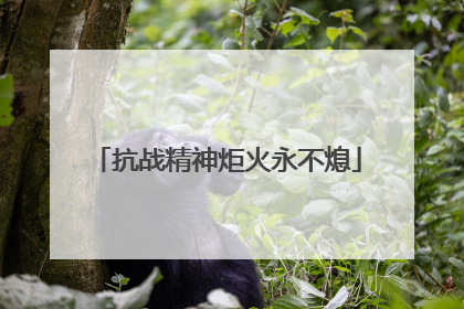 抗战精神炬火永不熄