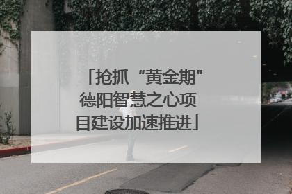 抢抓“黄金期” 德阳智慧之心项目建设加速推进