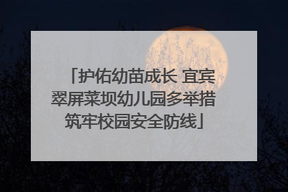 护佑幼苗成长 宜宾翠屏菜坝幼儿园多举措筑牢校园安全防线