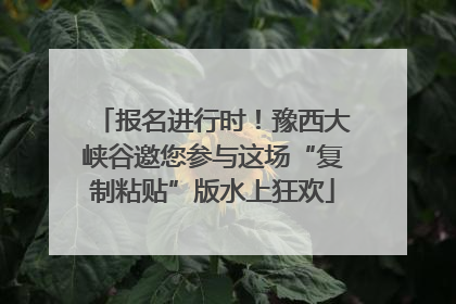 报名进行时！豫西大峡谷邀您参与这场“复制粘贴”版水上狂欢