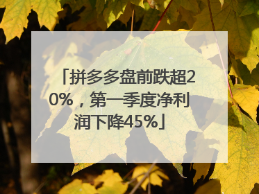 拼多多盘前跌超20%，第一季度净利润下降45%