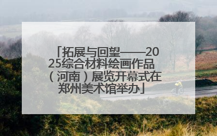拓展与回望——2025综合材料绘画作品（河南）展览开幕式在郑州美术馆举办