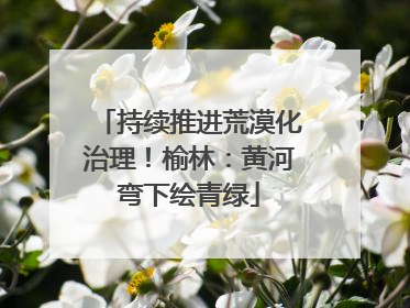 持续推进荒漠化治理！榆林：黄河弯下绘青绿