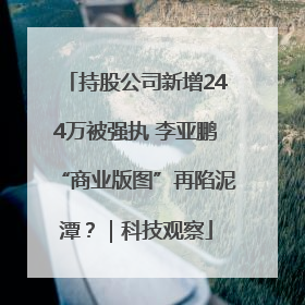 持股公司新增244万被强执 李亚鹏“商业版图”再陷泥潭？｜科技观察